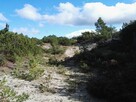 Nordic walking - 3