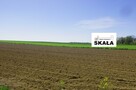 Działka rolno-budowlana Wysocice gm. Gołcza - 2