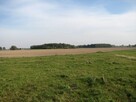 Działka z WZ 90km od Warszawy-Płońsk-Płock-Raciąż - 11