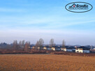 Opacz Mała Targowa, 1 ha - 3