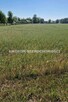 Działka Jaktorów Budy Zosine - 1