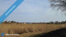 Syndyk sprzeda - udział 1/2 w prawie własności nieruchomości gruntowej niezabudowanej - Karwieńskie - 3