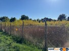 Działka budowlana 940 m² blisko lasu. - 4
