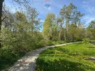 4 pokoje | 2 balkony | Wodzisław Śląski | 71 m² - 16