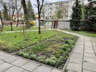 Mieszkanie Tarnów - 9