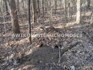 Działka budowlana Książenice gm. Grodzisk Mazowiecki - 4