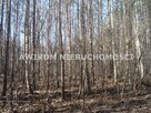 Działka budowlana Książenice gm. Grodzisk Mazowiecki - 8