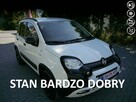 Fiat Panda Cross 1.3b Stan BDB  100%bezwypadkowy z Niemiec Gwarancja 12mc 1wł
