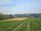 Działka leśna Ostrusza gm. Ciężkowice - 5