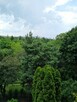 Mieszkanie w Warszawie na Targówku do wynajęcia od zaraz - 12