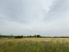 Działka budowlana Tąpkowice gm. Ożarowice, Brynicka - 2