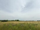 Działka budowlana Tąpkowice gm. Ożarowice, Brynicka - 4