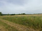 Działka budowlana Tąpkowice gm. Ożarowice, Brynicka - 10