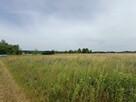 Działka budowlana Tąpkowice gm. Ożarowice, Brynicka - 13