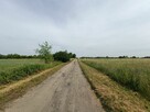 Działka budowlana Tąpkowice gm. Ożarowice, Brynicka - 15