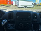 Boxer Kontener pieczywa Autosklep Foodtruck Food truck Koniowóz 2016 - 6