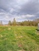 Działka 1078 m2 MPZP pod bliźniak Żabia Wola - 14
