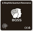 Analizator stanu zdrowia Biophilia quantum scan system - 4