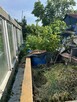 Działka ROD Pogodny ul. Taczaka 489m2 - 5