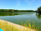 Dom na zielonej działce - 13