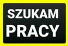 Szukam pracy !