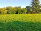 Dom wolnostojący z garażami oraz samo - 10