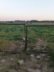 Sprzedam działkę rolną - 1