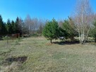 Działka rolno/rekreacyjna 1200 m2 Janowice ( Huta Janowska ) - 4