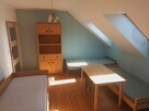 kwatery pracownicze, noclegi Lisi Ogon koło Bydgoszcz - 9