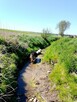 Pozna miło panią do wspólnych rozmów a może z biegiem więcej - 7