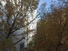 Bezpośrednio Żoliborz Włościańska 2 Pokoje 3 Piętro Piwnica - 16