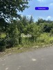 W otoczeniu nowych domów, las Komorów Granica