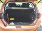 Ford Fiesta Pierwszy właściciel w Polsce 100% oryginał lakier - 10