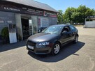 Audi A3 1.6 MPI 102 KM, Daylight LED, Xenon, Klimatyzacja, Aluflegi, Isofix - 3
