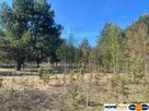 Idealne miejsce na dom,6241 m² blisko lasu i rzeki - 3