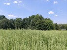 Działka budowlano leśna- Nowodworze- Małopolska - 8