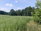 Działka budowlano leśna- Nowodworze- Małopolska - 10