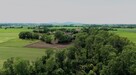 Brzoza| Działka z potencjałem | 10 km od Wrocławia - 3