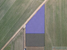 DZIAŁKA Z WARUNKAMI ZABUDOWY – 1166 m² - 50 000zł - 2