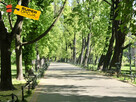 Lokal użytkowy Kraków gm. Kraków-Śródmieście, Karmelicka - 5