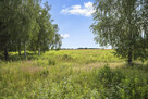 ✅ Urokliwa działka 3000 m² z WZ na 3 domy✅ - 7