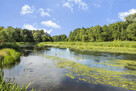 ✅ Urokliwa działka 3000 m² z WZ na 3 domy✅ - 9
