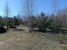 Działka rolno/rekreacyjna 1200 m2 Janowice ( Huta Janowska ) - 3