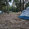 Camping pod sosnami Okartowo- para pozna parę do przyjaźni - 3