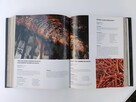 ksiazka kucharska Encyklopedia of Cajun & Creole Cuisine - 3
