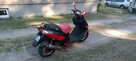 Zipp Quantum GT5 50cc (Silnik 2T) opłaty aktualne - 5