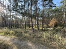 Działka budowlana | 1989 m² | las+zalew | Młyniska | 105 zł - 4