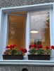 VIP Хостел Warszawa Новое общежитие Wola BEMOWO!Hostel! - 9