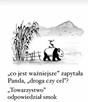 Trochę tu pusto, rozpocznij na nowo ...