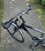 Rower Trekingowy Pegasus z